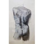 Robert Bryce Muir (b.1962) Charcoal and wash drawing 'Surfer' Nude male, rear view, signed in pencil