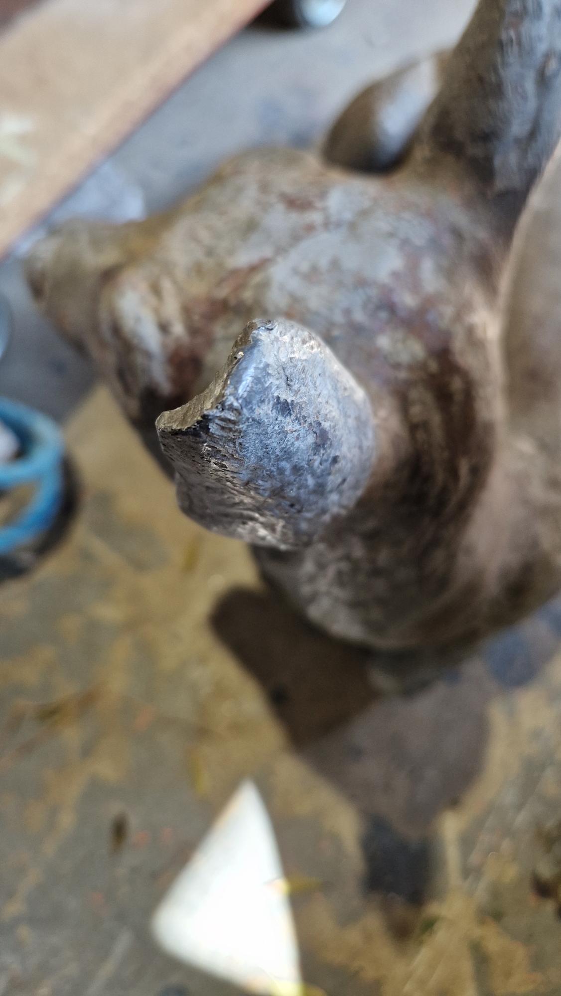Grey-painted cast lead garden model of a doe, modelled recumbent, 48cm long  Condition Report - Bild 9 aus 22