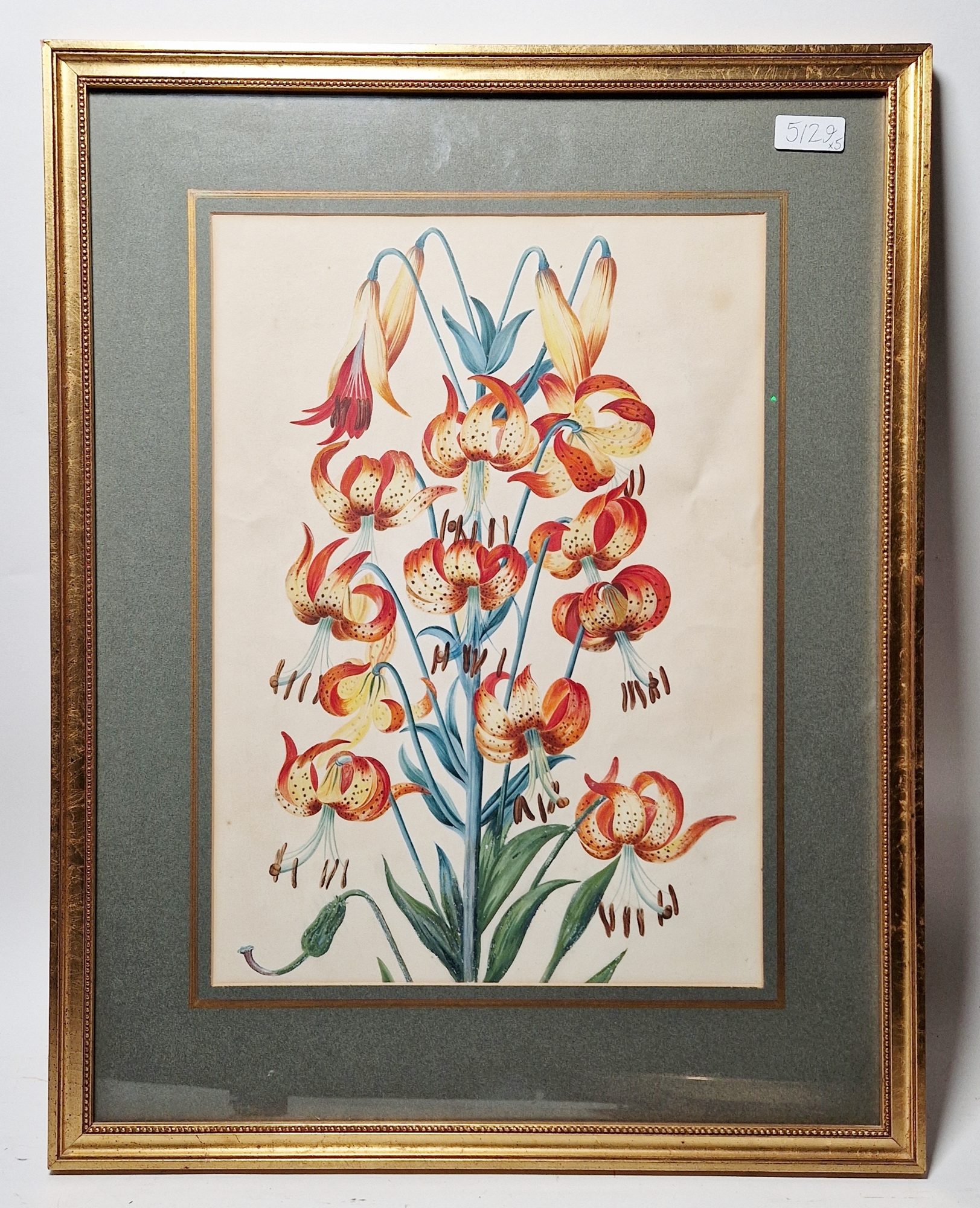 19th century school Watercolour and gouache Study of a Tiger Lily, unsigned, framed and glazed, - Image 6 of 9