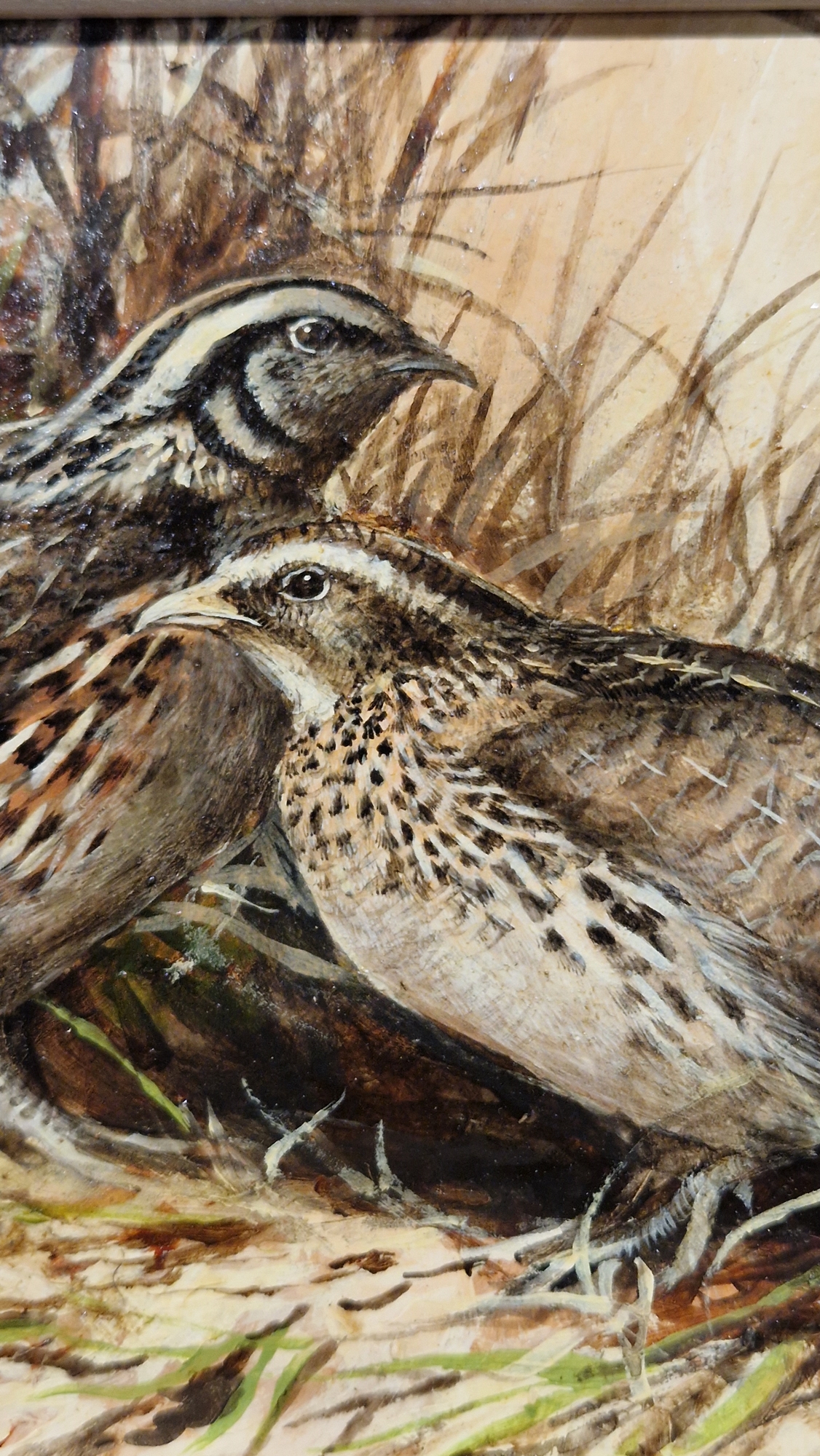 Ken Turner (1926) Oil on board Two quail amongst grasses, signed lower left, 14cm x 17.5cm - Bild 8 aus 28