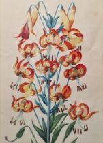 19th century school Watercolour and gouache Study of a Tiger Lily, unsigned, framed and glazed,