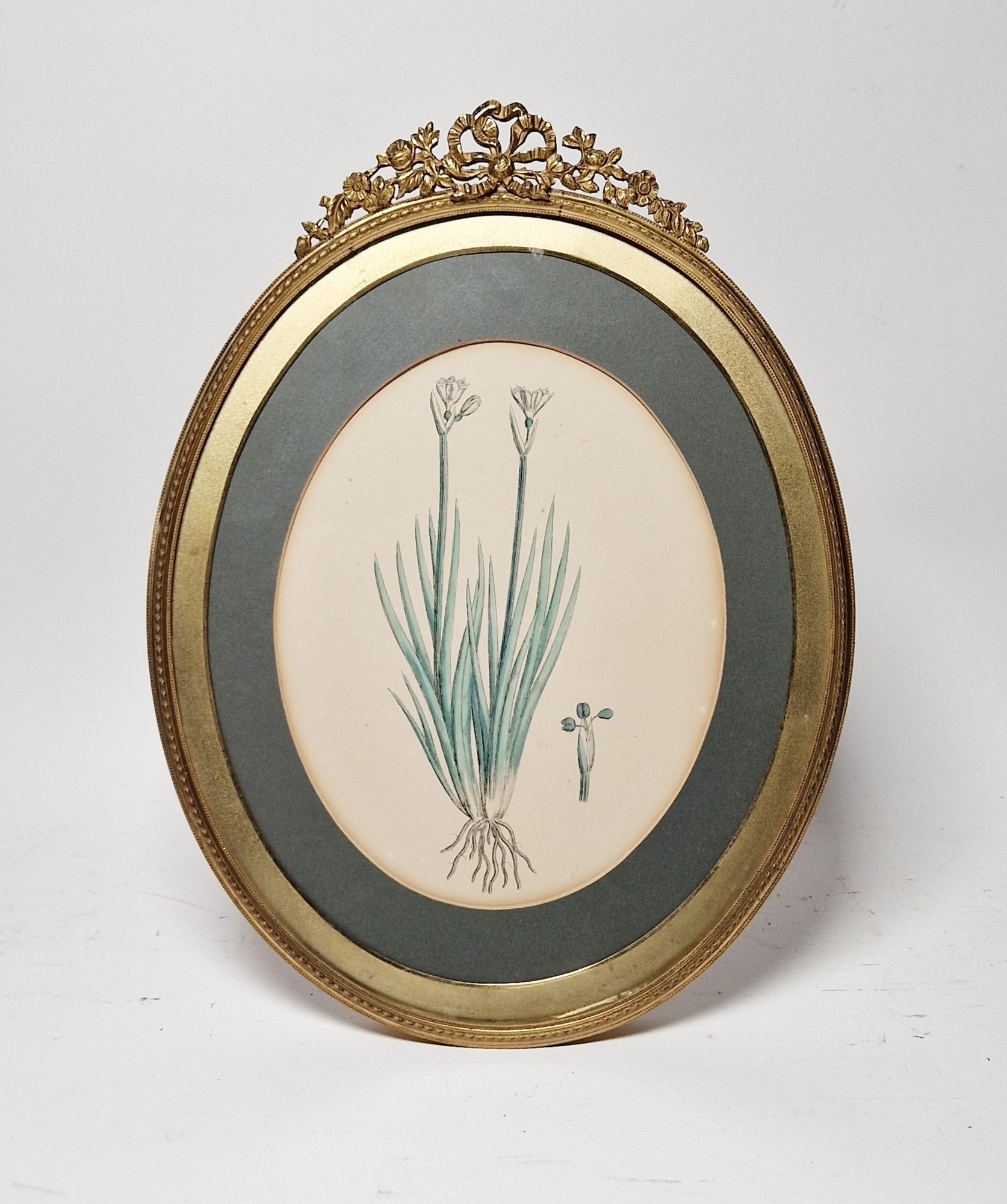 19th century school Watercolour and gouache Study of a Tiger Lily, unsigned, framed and glazed, - Image 5 of 9