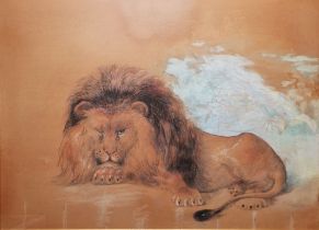 William Huggins (1820-1884) Watercolour, gouache and pencil on paper Study of a recumbent lion,