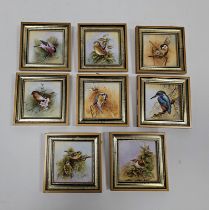 Eight framed Royal Worcester-style porcelain plaques of square section, painted with birds by N