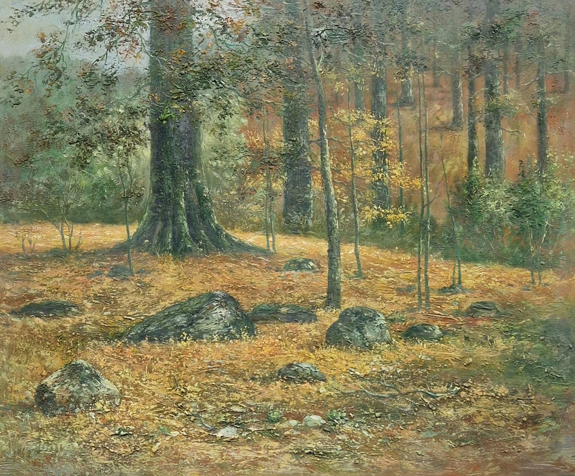 American 20th century School Oil on canvas Wooded autumnal landscape (unsigned), 60cm x 50cm