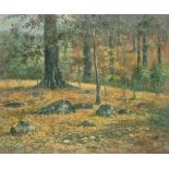 American 20th century School Oil on canvas Wooded autumnal landscape (unsigned), 60cm x 50cm