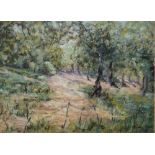 Daphne Clark (20th century) Pastel "Way Through the Grove, San Stefano, Corsica", signed lower