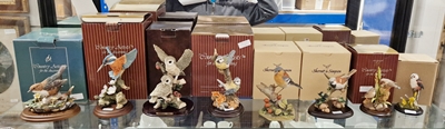 'Country Artists', various models of birds to include kingfisher, little owl, Warwick bluetits and