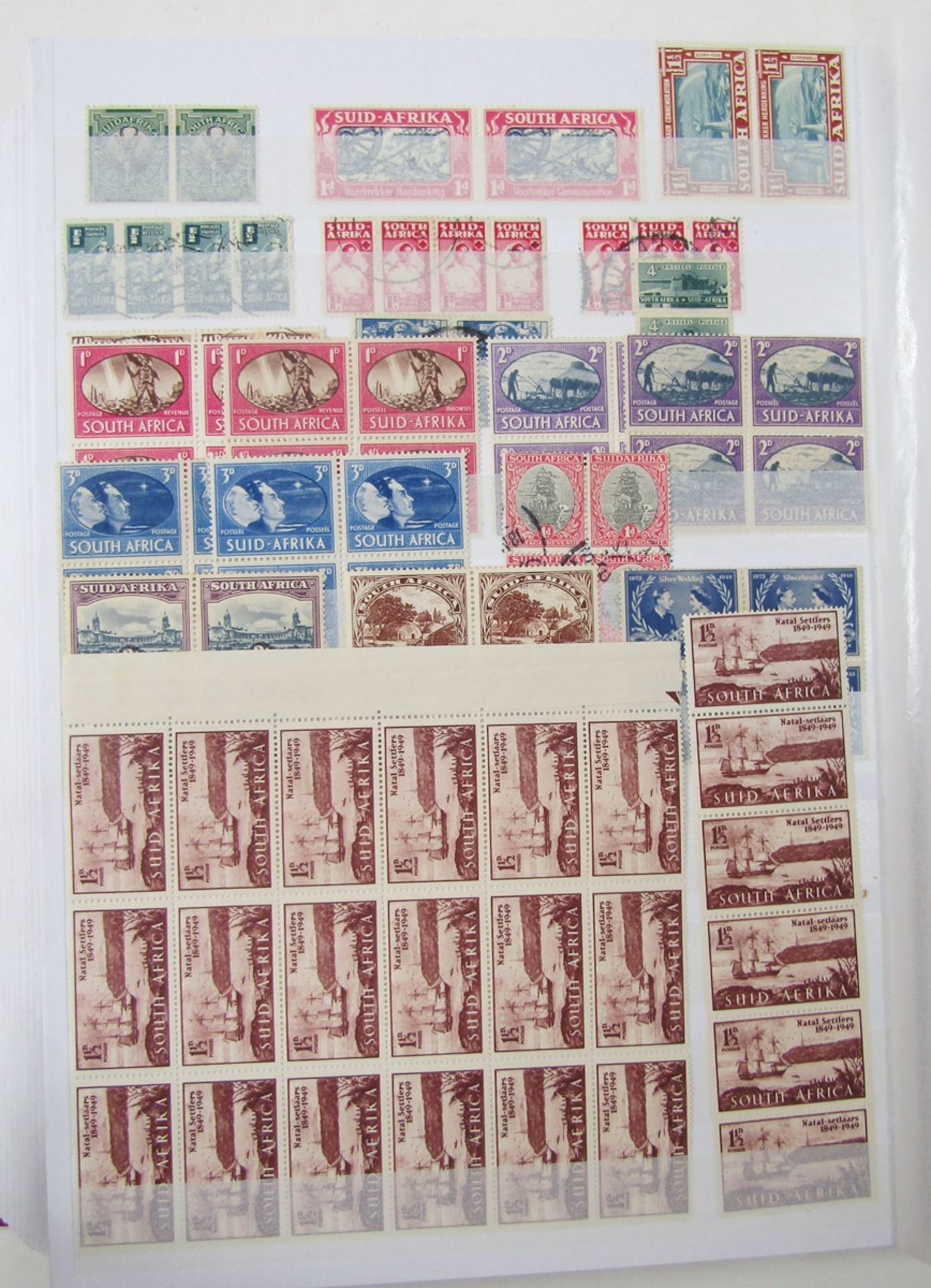 South Africa stamps: Four stock-books of mainly mint/used definitives, commemoratives and postage - Image 5 of 8