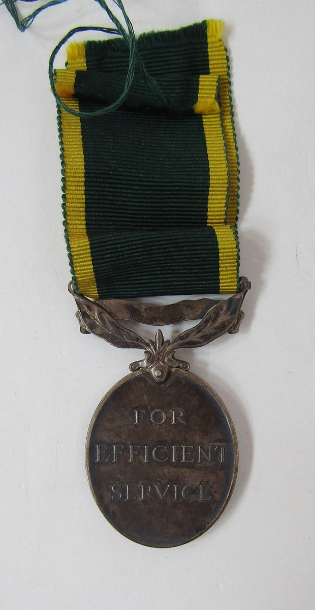 WWII Territorial Medal for Efficient Service named to "4274633.S.SJT.J.D.Riddle.R.E.M.E.", - Bild 9 aus 16