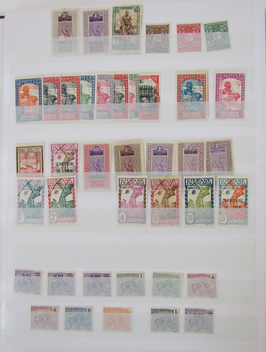 France - Colonial stamps: Mint and used accumulation of various French colonies in large 30 page/ - Bild 4 aus 9