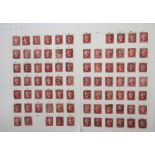 GB stamps: QV Penny red plating on 6 pages AA-TL almost complete at 234 of 240 plus others with