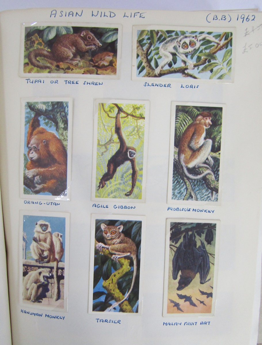 Large collection of cigarette and other collectors cards to include cards by Wills, Carreras and - Bild 3 aus 10