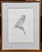 Pair of Andrew Miller Mundy signed limited edition prints of birds of prey 34cm x 25cm together with