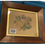 A Good Pair Of Early 19th Century Still Life Watercolour Studies In Rosewood Frames