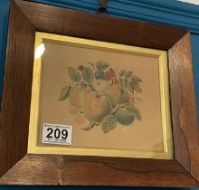 A Good Pair Of Early 19th Century Still Life Watercolour Studies In Rosewood Frames