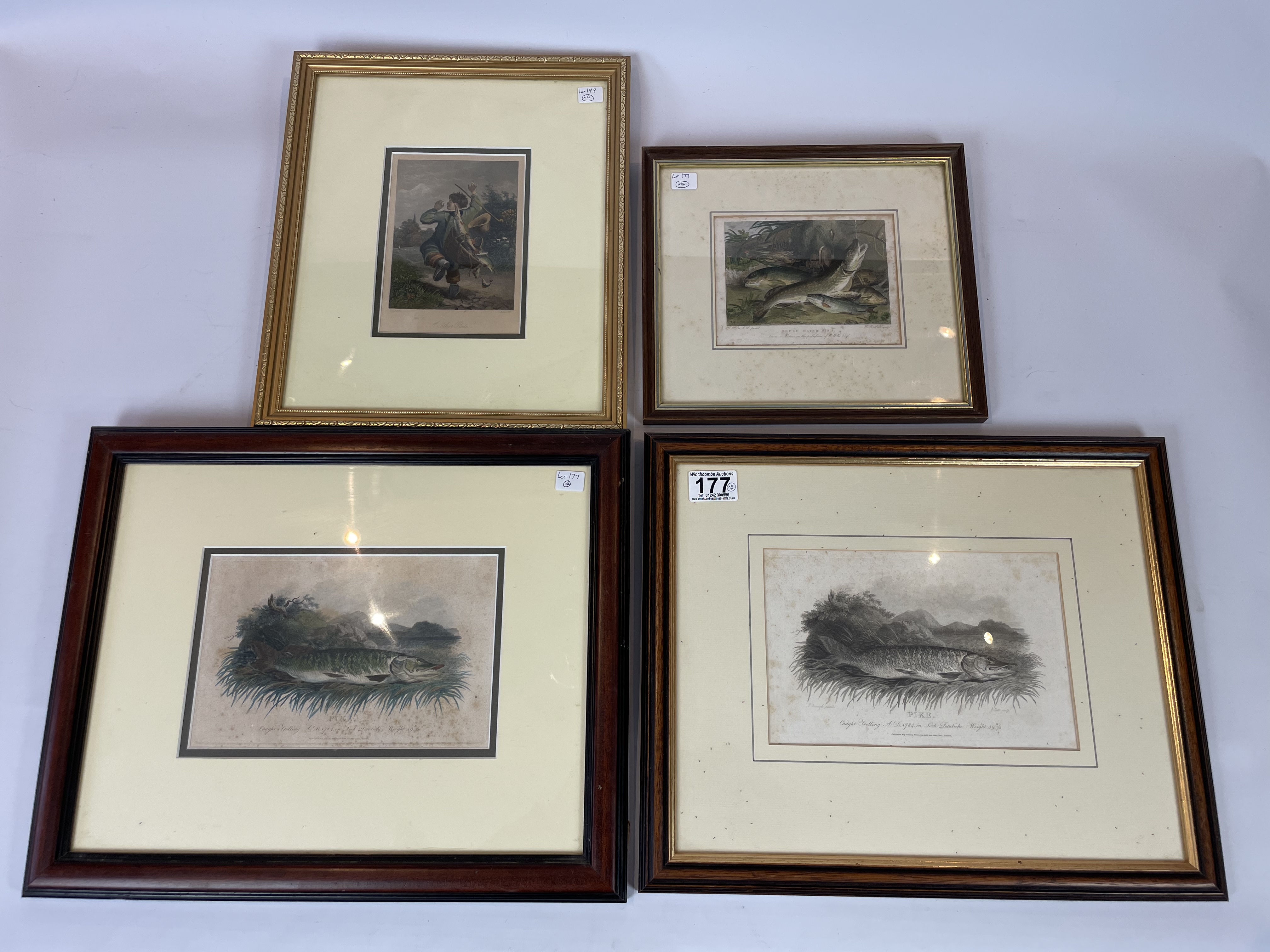 3 Pike Fishing Prints And 1 Hand Coloured Engraving