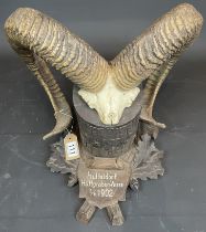 Black Forest Carved Plaque With A Pair Of Rams Horns