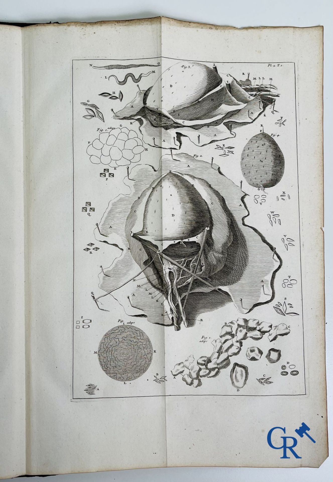 Early printed books: Dictionnaire Universel de Medecine, Robert James. 6 volumes, Paris 1746-1748. - Image 9 of 35