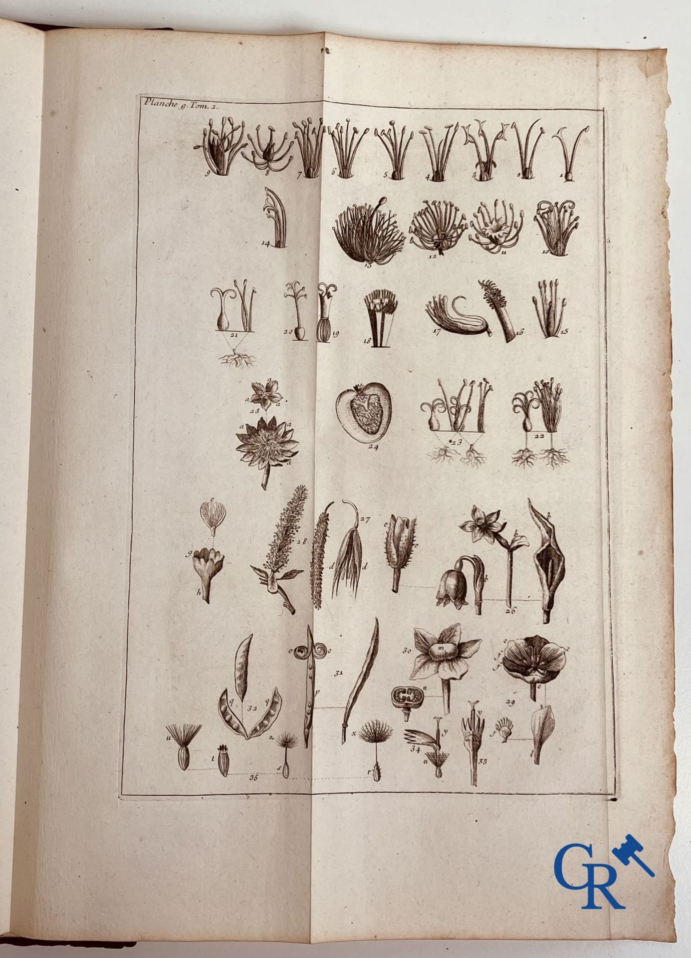 Early printed books: Dictionnaire Universel de Medecine, Robert James. 6 volumes, Paris 1746-1748. - Image 19 of 35