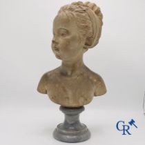 A bust in terre cuite on a blue gray marble pedestal. 19th century.