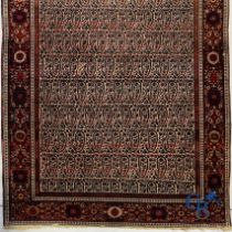 Oriental carpets: Antique oriental carpet.