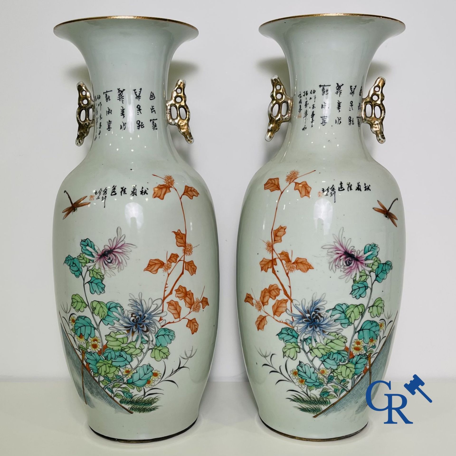 Chinese porcelain: A pair of Chinese vases with a double decor. - Image 27 of 30