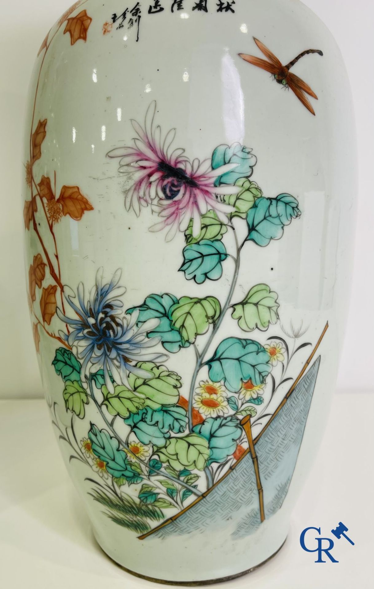 Chinese porcelain: A pair of Chinese vases with a double decor. - Image 9 of 30