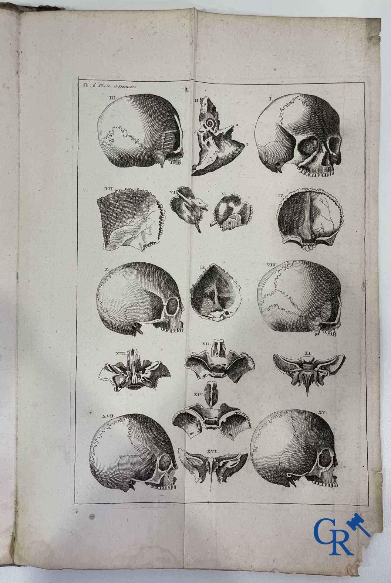 Early printed books: Dictionnaire Universel de Medecine, Robert James. 6 volumes, Paris 1746-1748. - Image 35 of 35