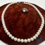 Jewellery: Lot consisting of a pearl necklace with gold clasp 18K and a ring in silver (935°/00)