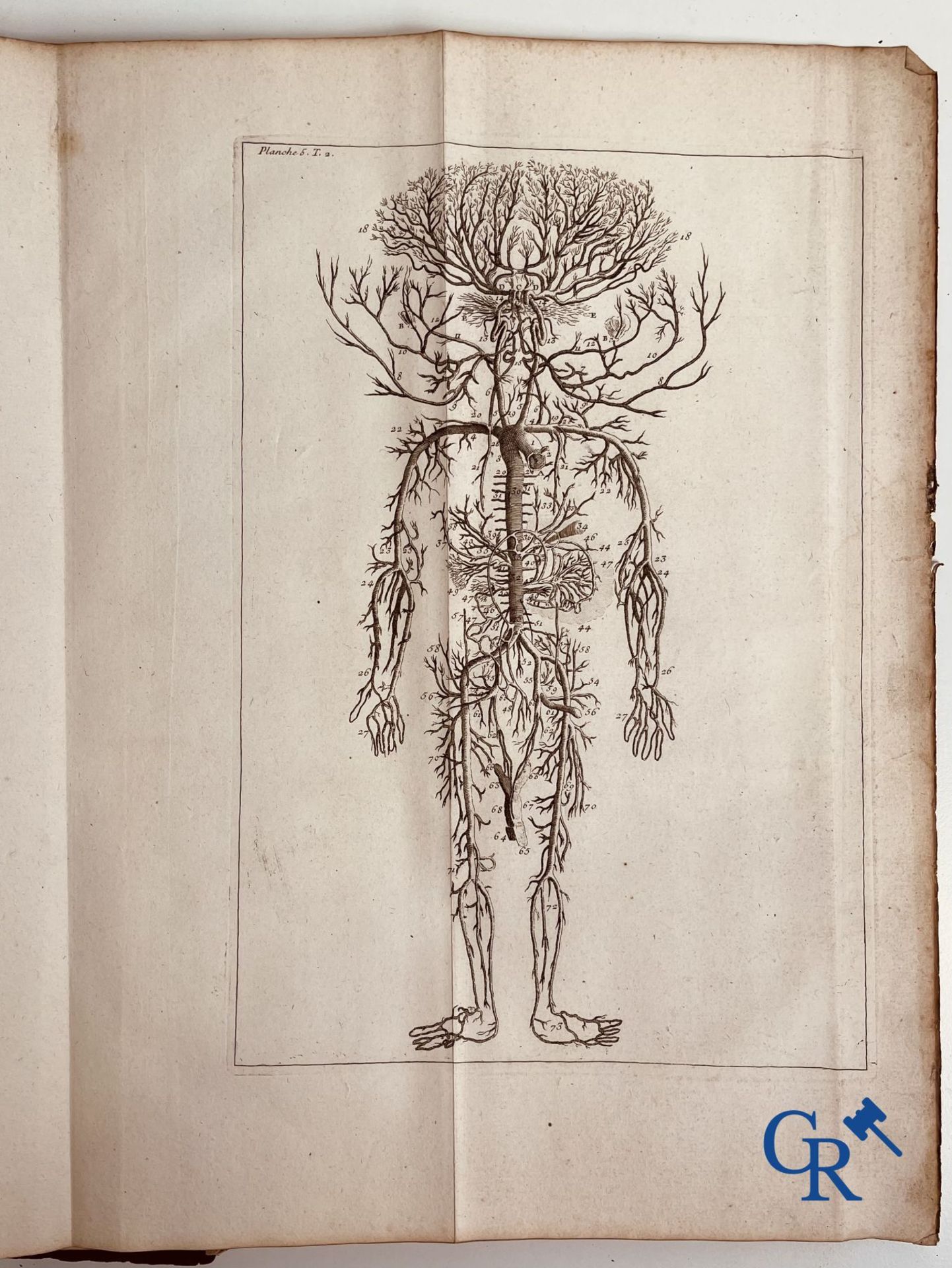 Early printed books: Dictionnaire Universel de Medecine, Robert James. 6 volumes, Paris 1746-1748. - Image 18 of 35