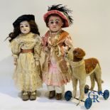 Toys: antique dolls: Beautiful lot of 2 dolls with porcelain head and a toy.