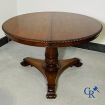 Furniture: English extendable table in mahogany.