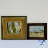 Paintings. Oriental view and landscape.