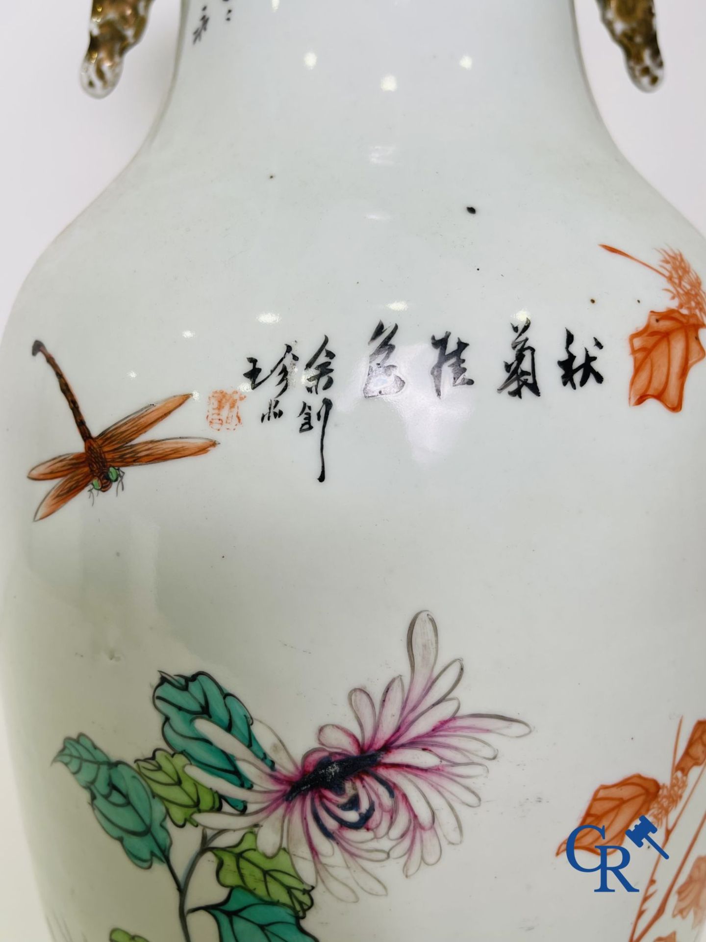 Chinese porcelain: A pair of Chinese vases with a double decor. - Image 19 of 30