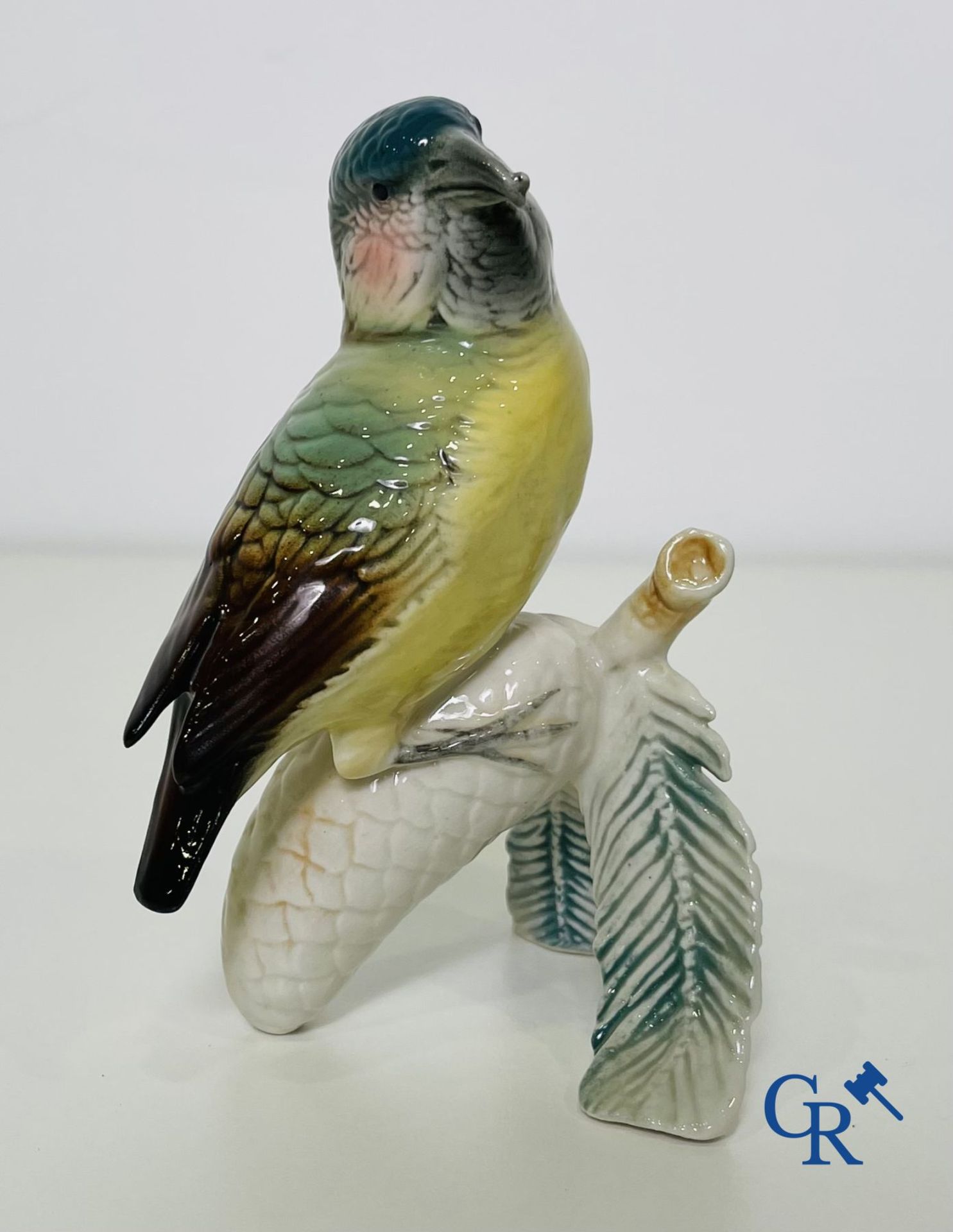 A lot of 4 birds in German porcelain and Italian faience. - Image 4 of 16