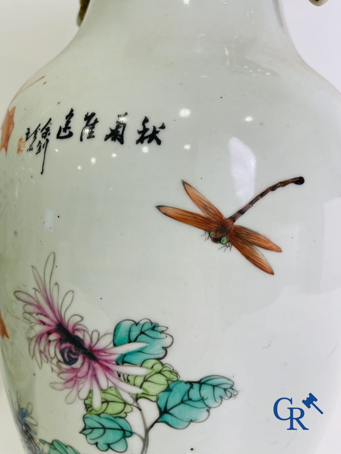 Chinese porcelain: A pair of Chinese vases with a double decor. - Image 8 of 30