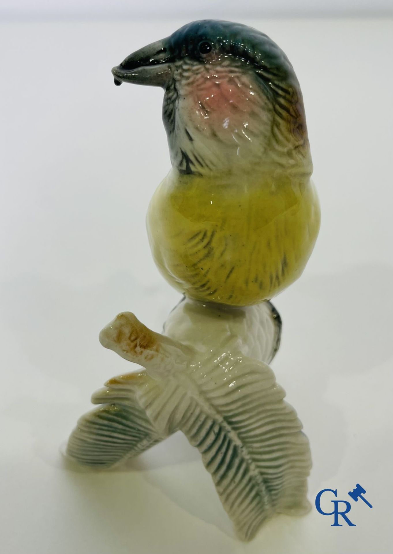 A lot of 4 birds in German porcelain and Italian faience. - Image 16 of 16