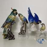 A lot of 4 birds in German porcelain and Italian faience.
