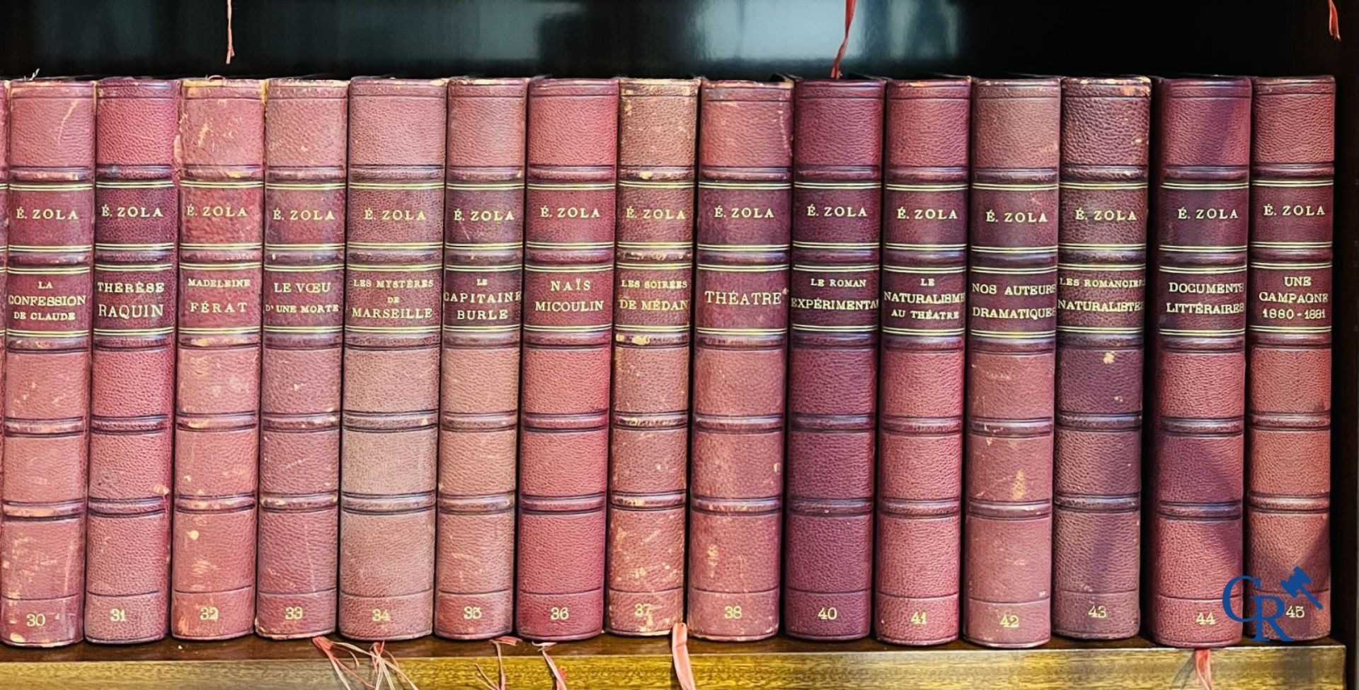 Books: Emile Zola, collection of works edition, Eugène Fasquelle. 47 volumes. - Bild 7 aus 11