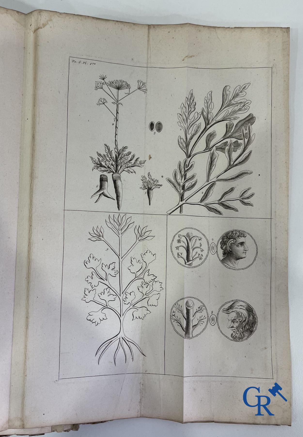 Early printed books: Dictionnaire Universel de Medecine, Robert James. 6 volumes, Paris 1746-1748. - Image 32 of 35