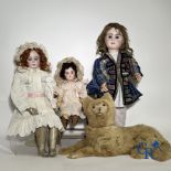 Toys: antique dolls. 3 dolls with porcelain head and a dog in fur.