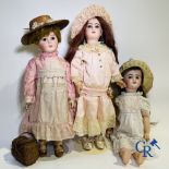 Toys: antique dolls: Lot of 3 dolls with porcelain head.