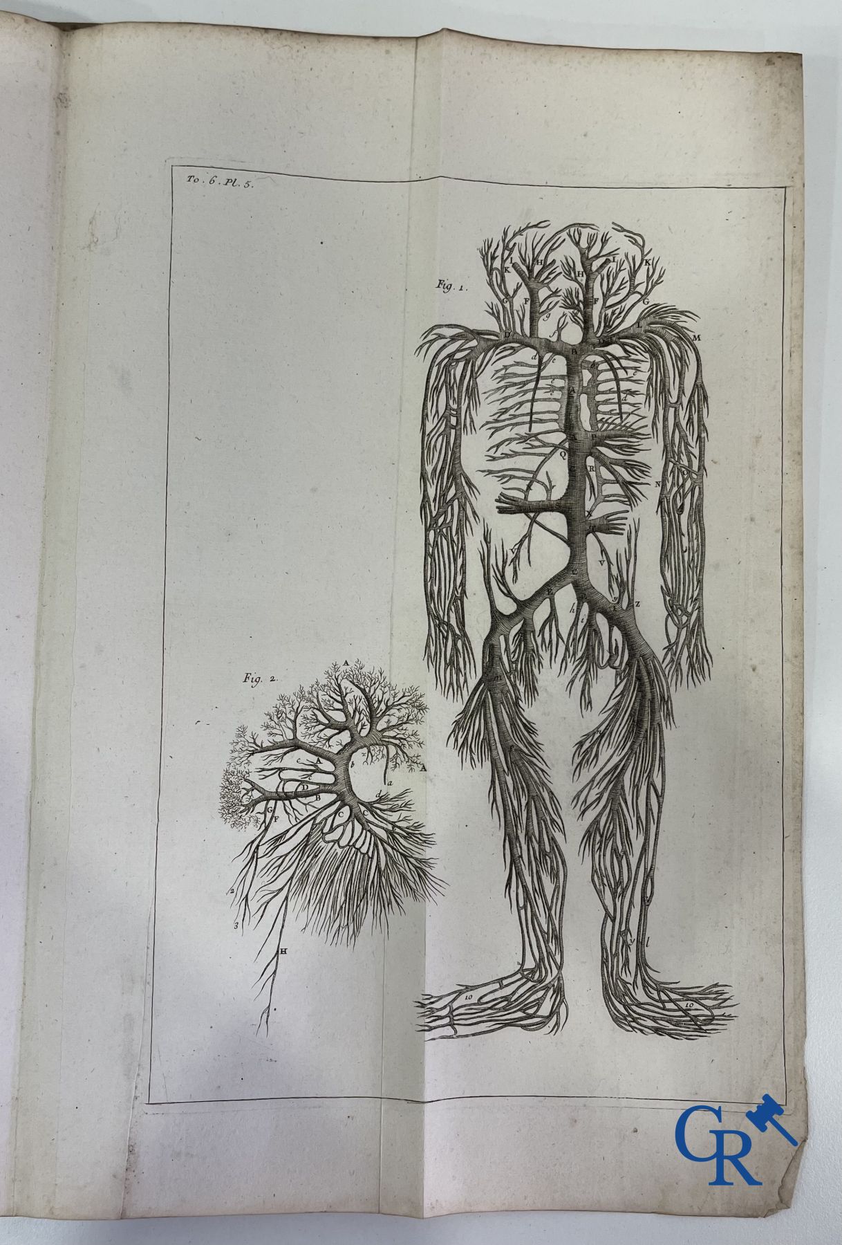 Early printed books: Dictionnaire Universel de Medecine, Robert James. 6 volumes, Paris 1746-1748. - Image 34 of 35