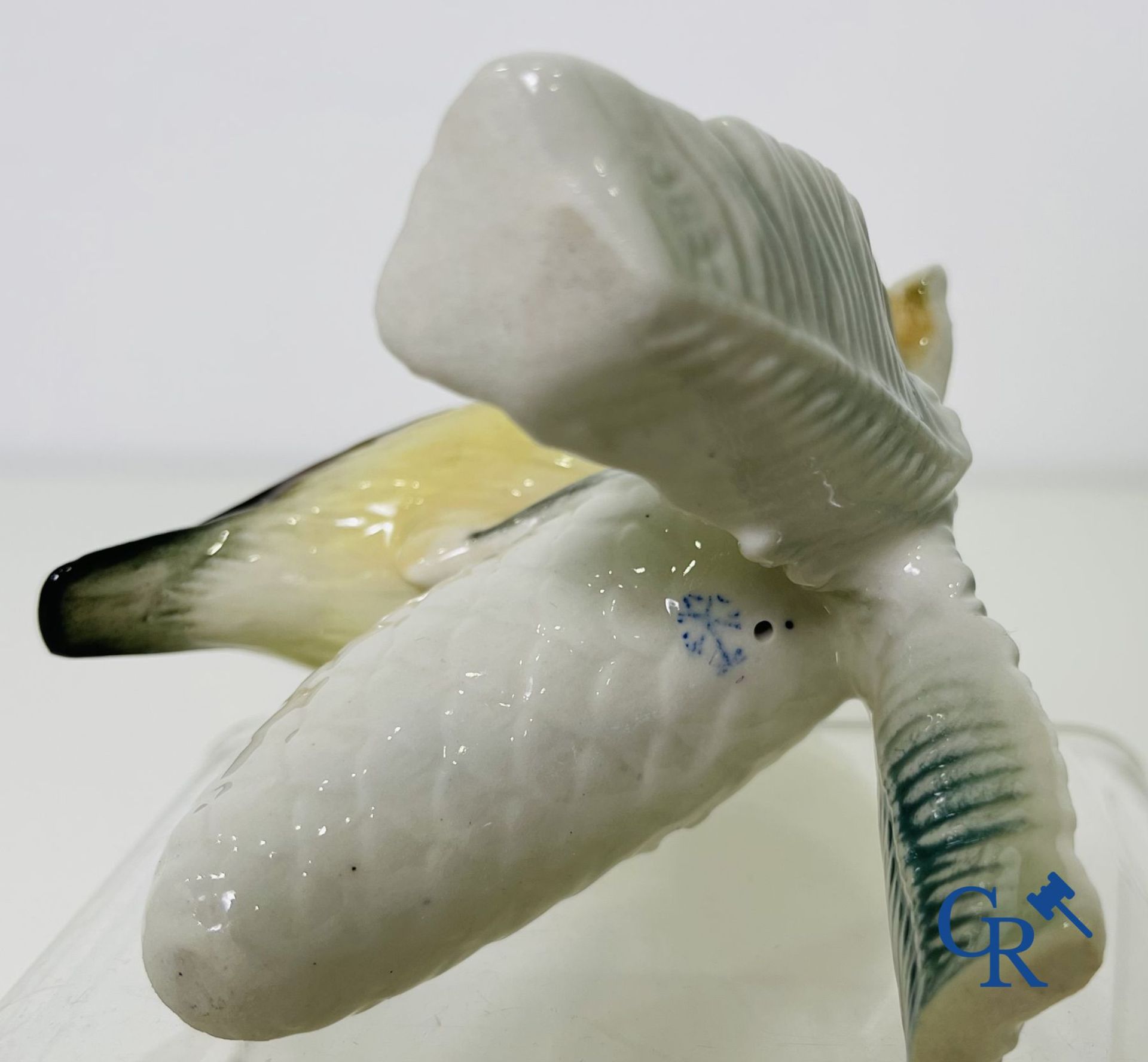 A lot of 4 birds in German porcelain and Italian faience. - Image 5 of 16