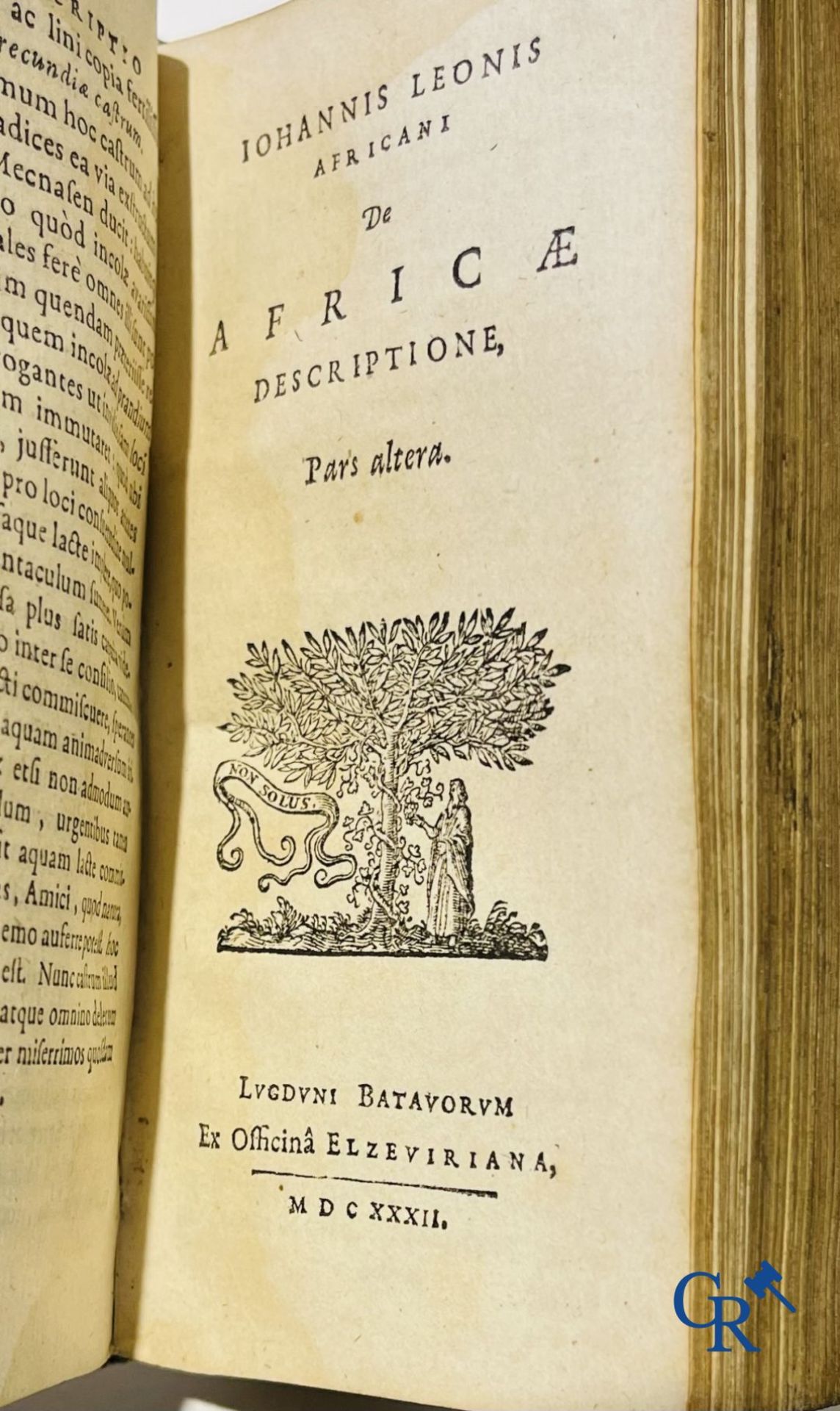 Early printed books: Johannis Leonis Africani. Africae, Elzevier 1632. - Image 3 of 8