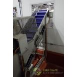 2019 Ten Brink Incline washing conveyor with SS hopper