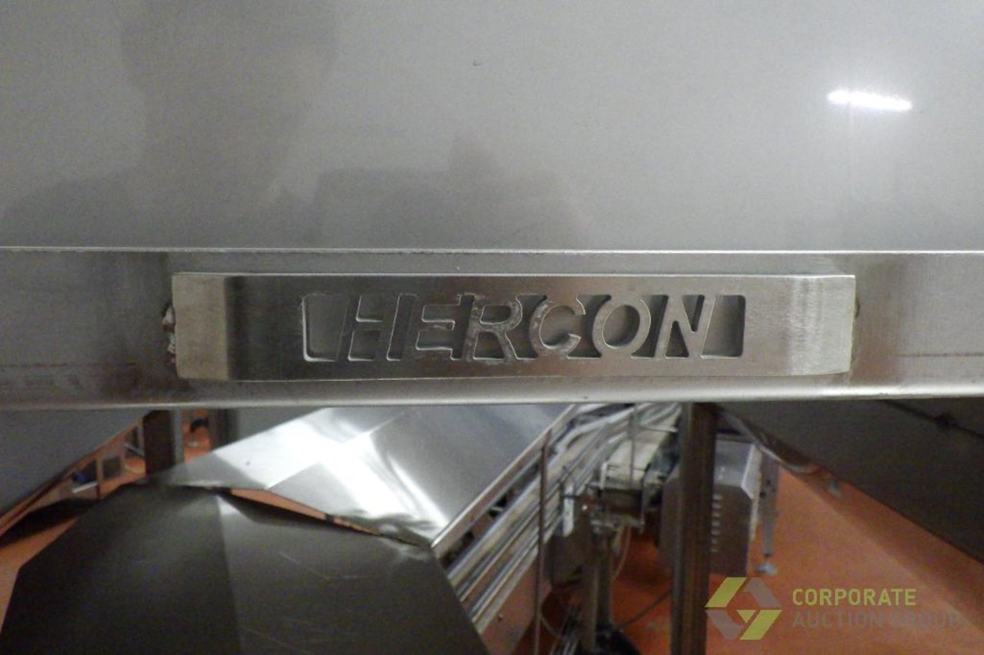 Hercon SS conveyor crossover - Image 3 of 8