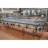 2019 Ten Brink double conveyor, 20 ft. long x (2) 12 in. wide belt x 44 in. tall, SS frame