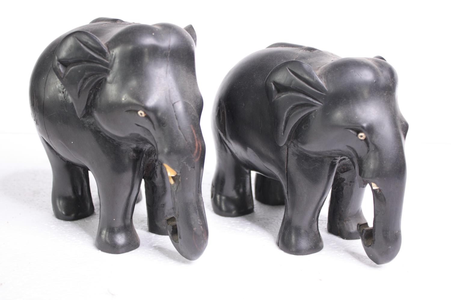 Two carved ebony elephants. Missing their tusks. Early to mid twentieth century. H.15 W.18cm. ( - Image 4 of 6